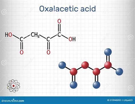 Oxaloacetic Acid Oxalacetic Acid Oaa Oxaloacetate Molecule It Is