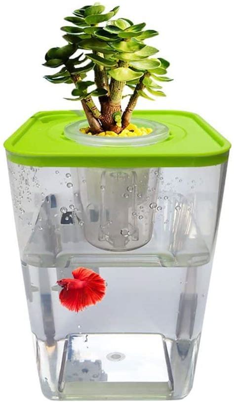 8 Best Aquaponics Greenhouse Kits 2021