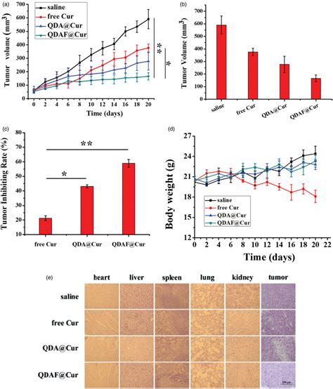 In Vivo Antitumor Activity Of NMs In Nude Mice Bearing MCF 7 Cells A