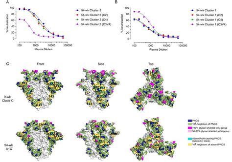 Aiims Plasma Nabs Targeted Glycan Rich C V Region A B