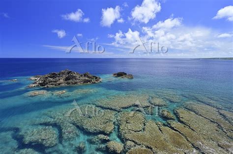 鹿児島県 和泊町 沖永良部島 サンゴ礁が広がる海 [159619972]の写真素材 アフロ