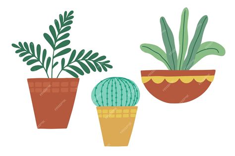 Premium Vector Set Of Different Tropical House Plant Scandinavian Cozy Home Decor Flat Vector