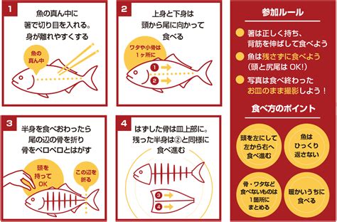 魚の食べ方の検索結果 Yahooきっず検索