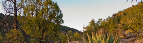 Silver City Vacation Rentals, New Mexico: house rentals & more | Vrbo