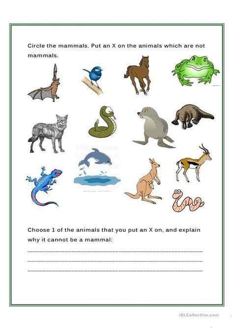 Mammal Worksheets for Kindergarten Mammals English Esl Worksheets for ...