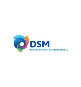 Free High-Quality DSM Logo White for Creative Design