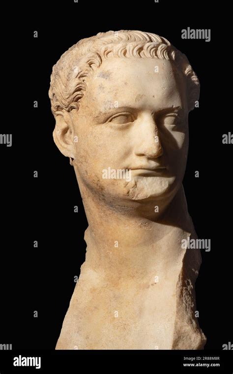 Bust Emperor Titus Banque De Photographies Et Dimages Haute