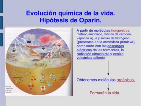 El ORIGEN de la VIDA según la biología - RESUMEN + esquemas!!