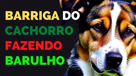 Barulho Na Barriga Do Cachorro LIBRAIN