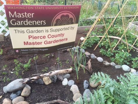 Pierce County Master Gardeners Support Community Gardens Around The