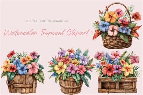 Watercolor Flower Basket Floral Basket Graphic By Sasikharn Creative