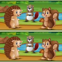 Spot The Differences Forests Juega A Juegos Friv 5 Gratis