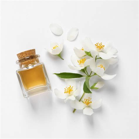 Jasmine Essential Oil Benefits