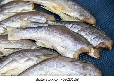 Background Sundried Fish Flathead Mullet Grey Stock Photo (Edit Now) 520236559