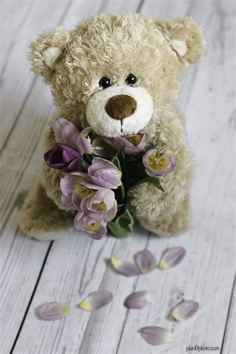 Teddy Bear With Light Tulip Bouquet Happy Valentines Day Happy