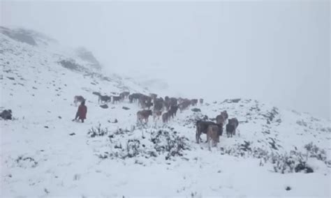 Senamhi Temperatura bajará hasta 18 grados en zonas altoandinas de