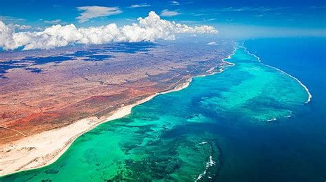 Monitoring The Great Barrier Reef Is A Healthy Reef A Beautiful Reef By Ann Mclean The