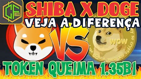 SHIBA X DOGE VEJA A DIFERENÇA TOKEN NOVO QUEIMA SHIBA INU shibainu