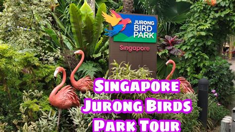 Singapore Jurong Bird Park Tour Youtube