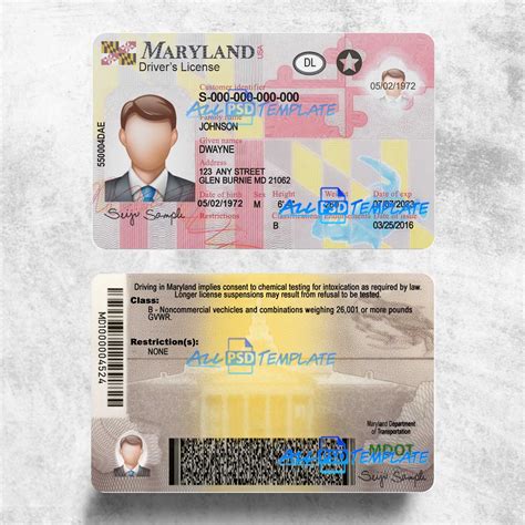 Maryland Drivers License PSD Template - FAKE PSD TEMPLATES