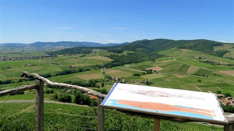 Beaujolais Autour Du Mont Brouilly Randonn E P Destre Flickr