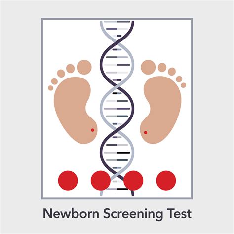 Newborn Screening Test Vector Illustration Infographic 23894499 Vector