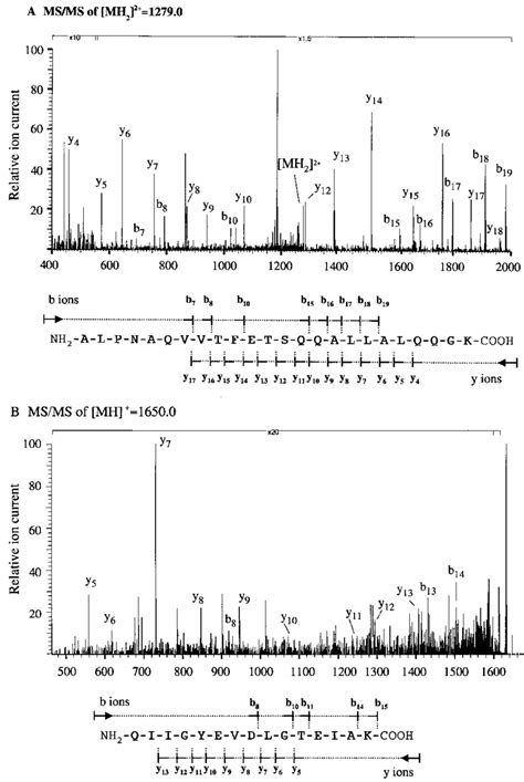 Peptide Fragmentation Spectra Ms Ms Spectra Obtained By Ion Trap Mass