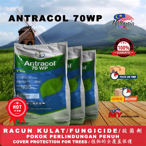 Bayer Antracol Wp Racun Kulat Fungicide Kg My Agriculture