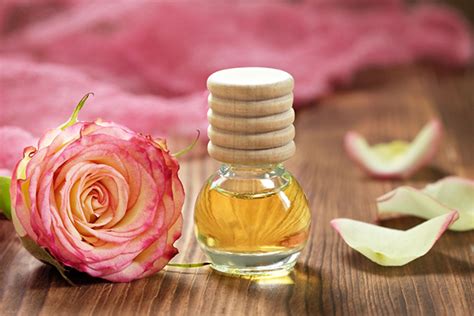 Olio Di Rosa Mosqueta Propriet Usi E Benefici Soluzione Online