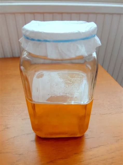 How To Make A Vinegar Mother And Make Your Own Vinegar Preserve And Pickle Apple Cider Vinegar