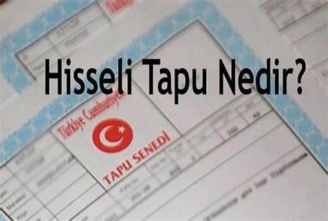 H Ssel Tapu Hakkinda Merak Ed Lenler Resmi Haber