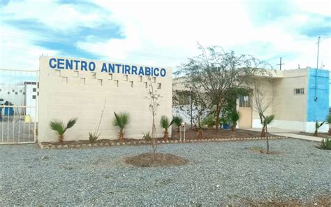 Centro de control animal realiza campaña de esterilización en San Pedro