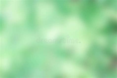 Texture Nature Color Mix Green And White Background Abstract N Stock