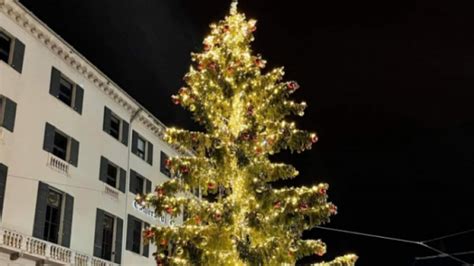 Accensione Albero Di Natale E Luminarie In Piazza De Ferrari L