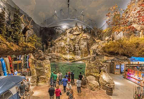 Natural Habitat Displays At Bass Pro Shops Treescapes And Plantworks