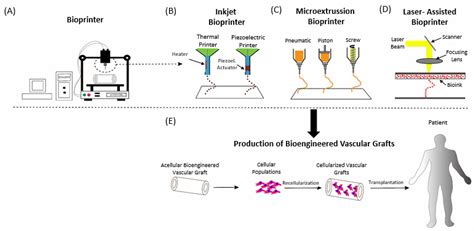 Bioengineering Free Full Text Recent Advancements In D Printing