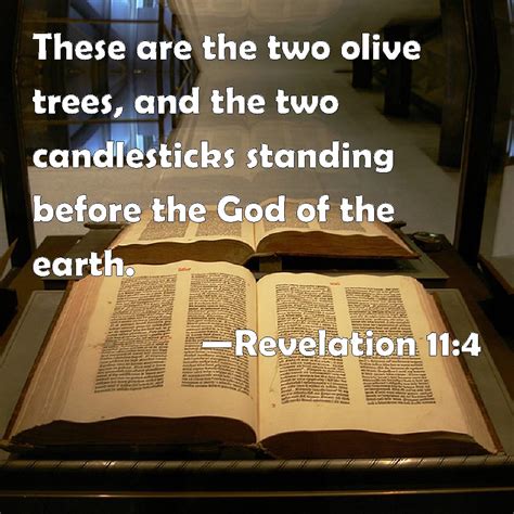 Revelation 11:4 These are the two olive trees, and the two candlesticks ...