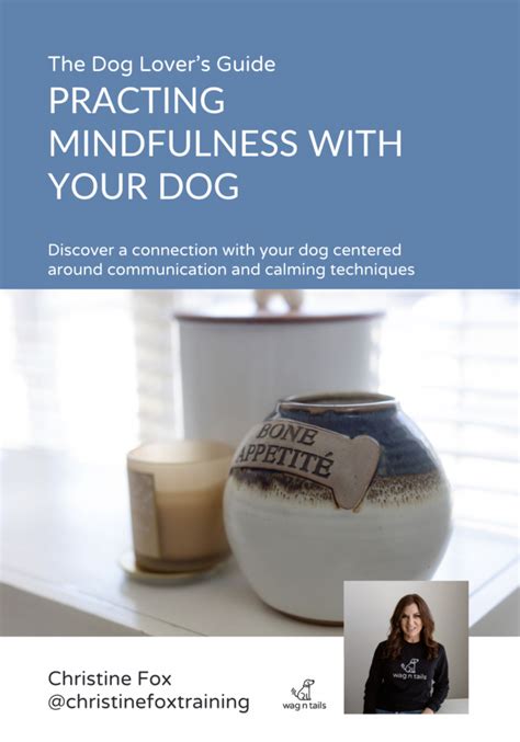 Practicing Mindfulness With Your Dog Wag N Tails Dog Activity Center