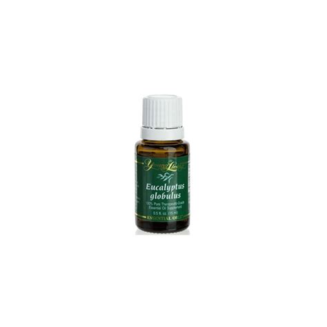 Eucalyptus Globulus Ätherisches Öl 15 Ml 24 50