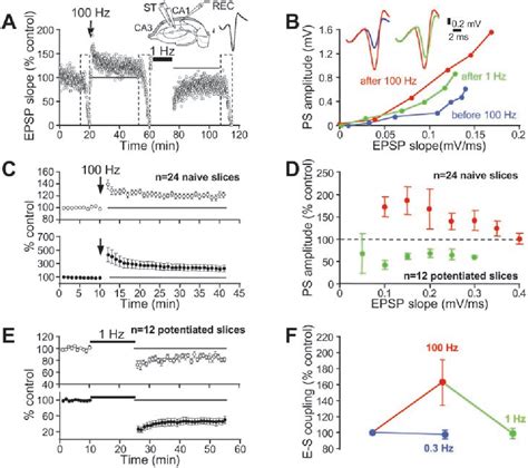 regulation of excitatory postsynaptic membrane potential | Semantic Scholar 