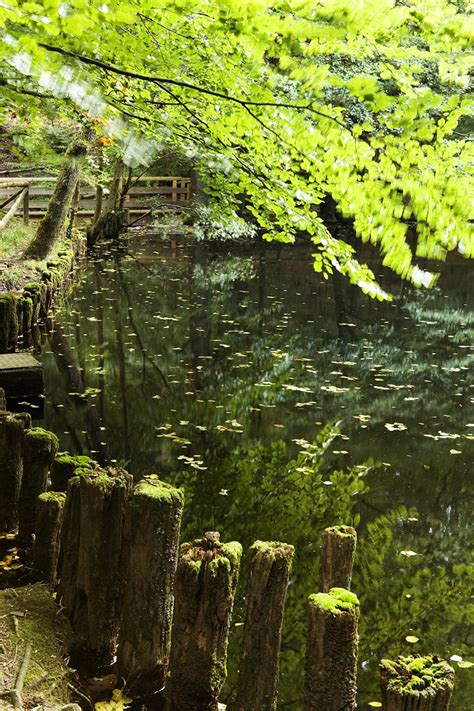 Heilklima Wanderweg Reichenbachtal Rb K Nigstein Im Taunus