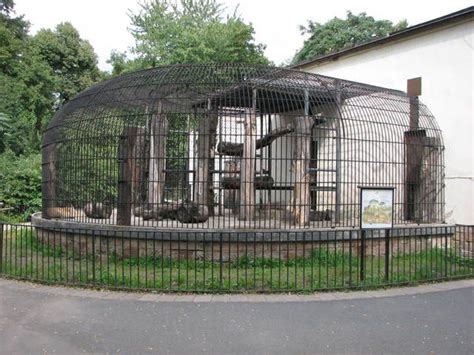 Dresden Zoo 2008 - Right side of the old Lion cage » Zoo Dresden ...