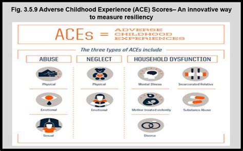 Adverse Childhood Experience Ace Scores An Innovative Way To