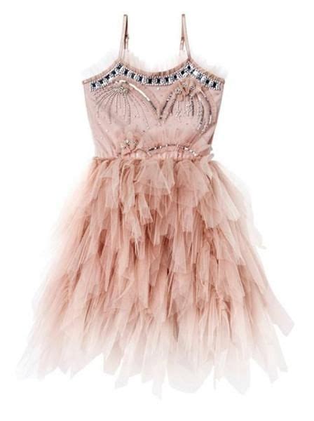 With Its Stunning Pink Tulle Silver Embellishments The Wild Free