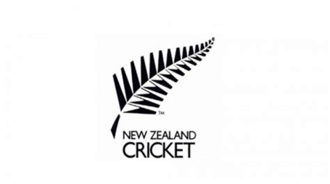 New Zealand Cricket deputy CEO Anthony Crummy resigns amid 15 per cent ...