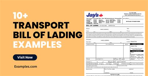 Transport Bill Of Lading 10 Examples Format Pdf