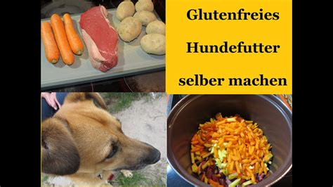 Hundefutter Selber Machen Mit Rindfleisch Kartoffeln Und Haferflocken