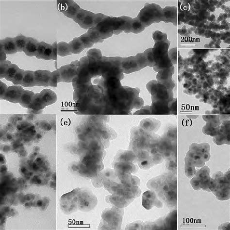 The Tem Of The Chitosan Coated Magnetic Nanoparticles With Different Download Scientific