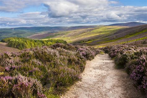 Hiking Trail in Cairngorms National Park. Aberdeenshire, Scotland Stock Photo - Image of ...