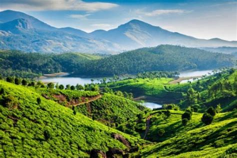 30 Places To Visit In Munnar In 2025 Top Tourist Attractions And Places